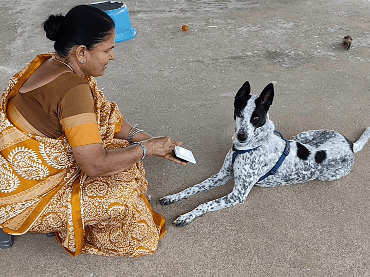 35 Positive Reinforcement Training