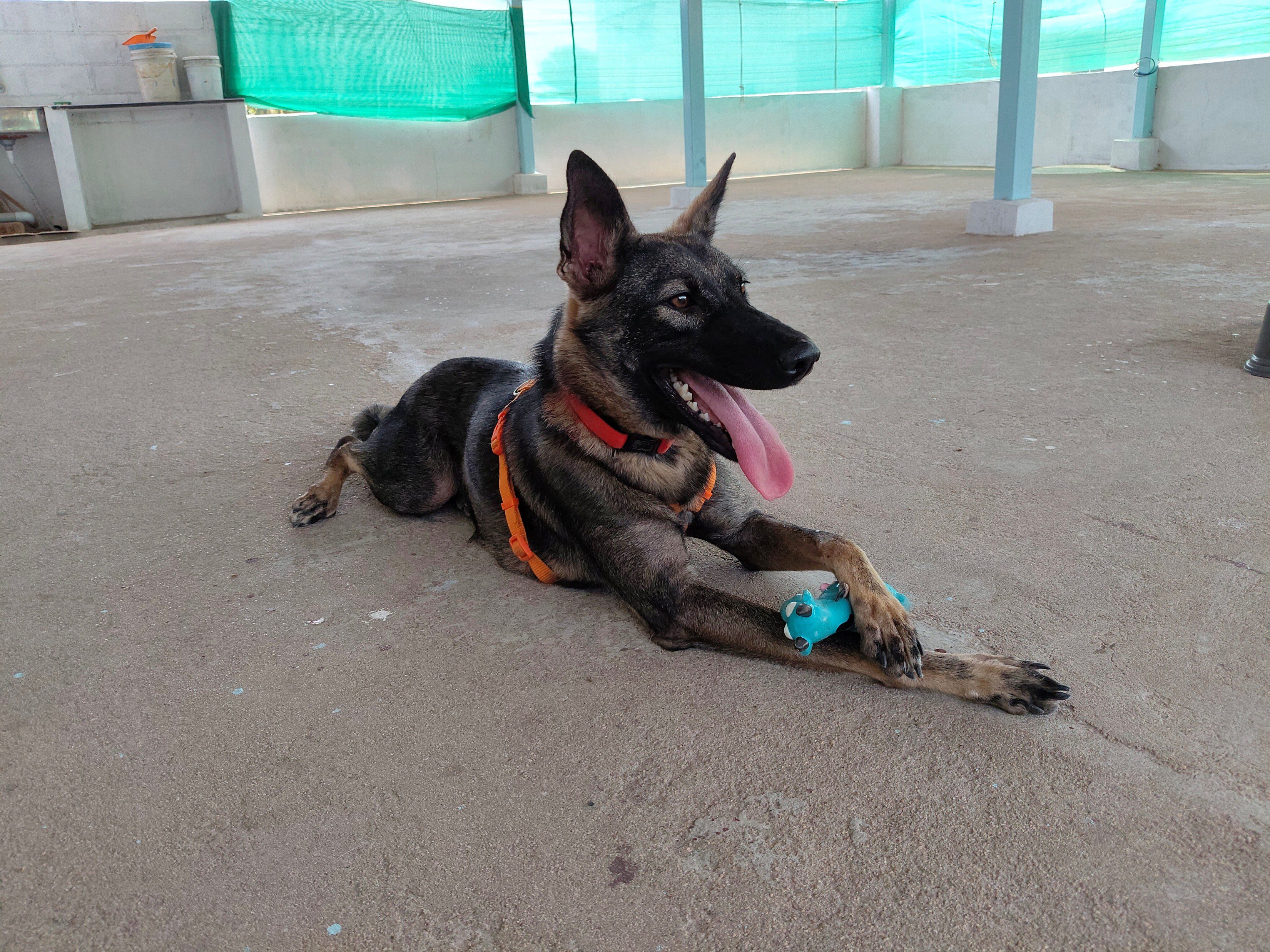 Zuri