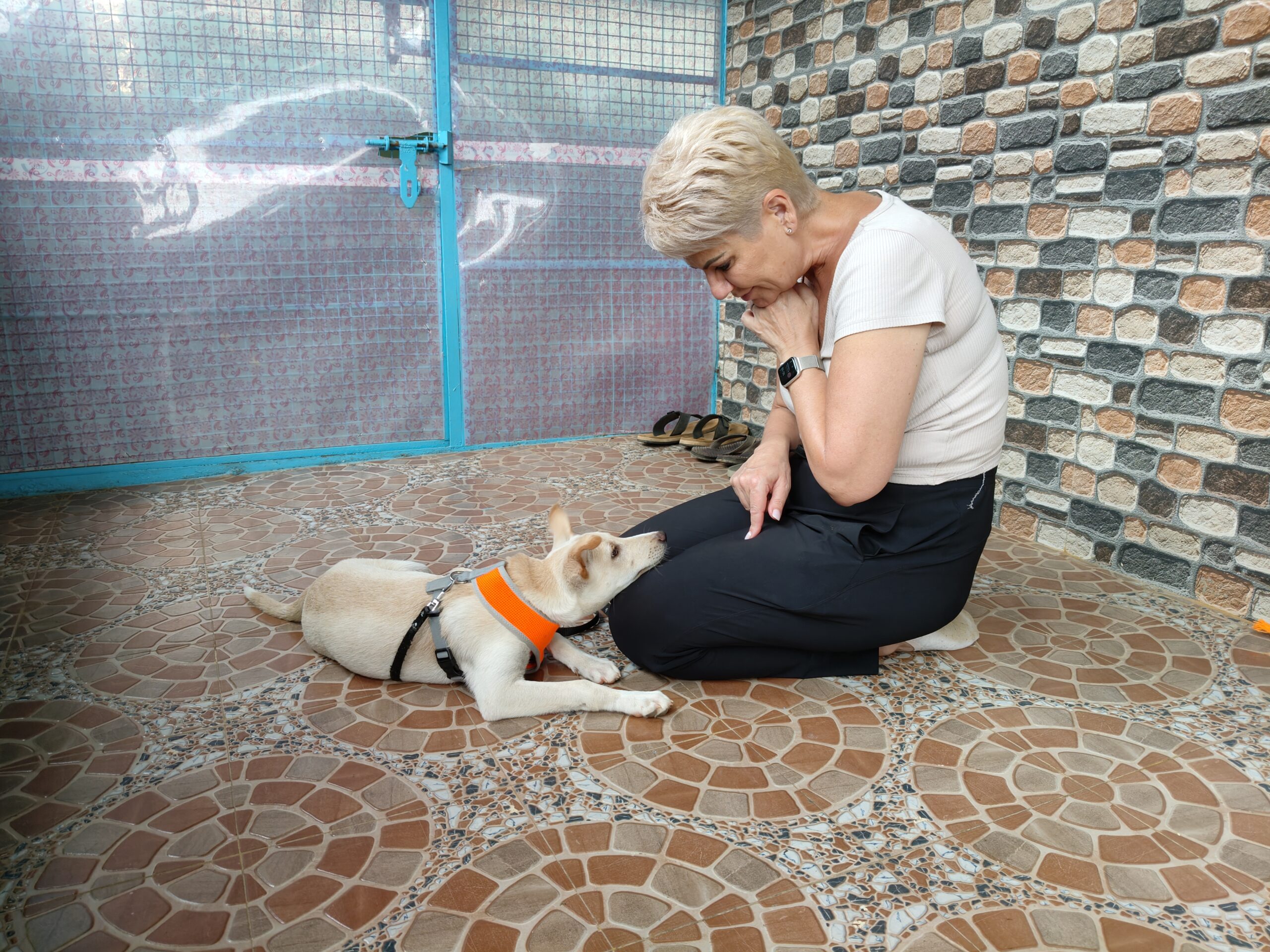 Kirsten assessing Ádi